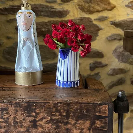 Casa Flor בית נופש